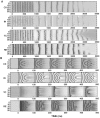 Fig. 8.