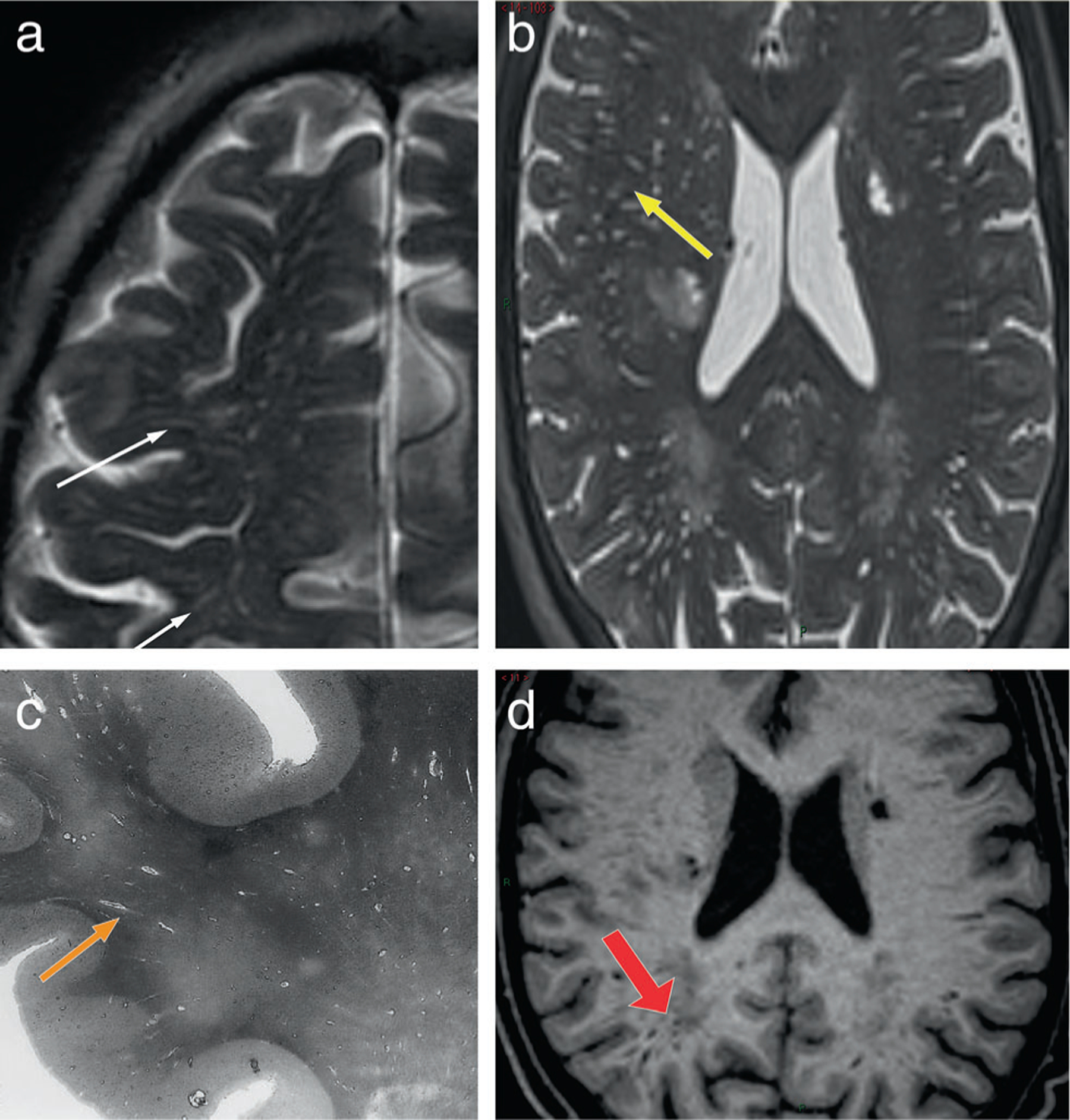 FIGURE 3: