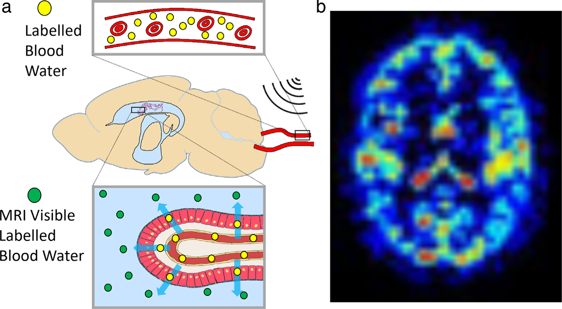 FIGURE 6: