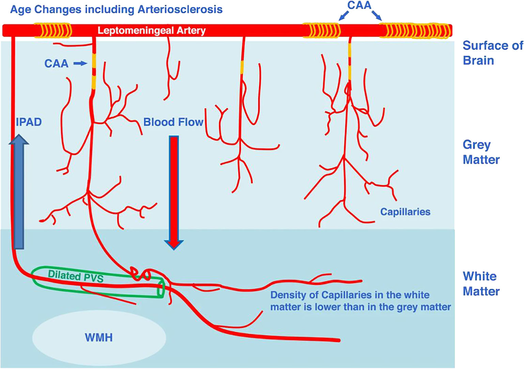 FIGURE 10: