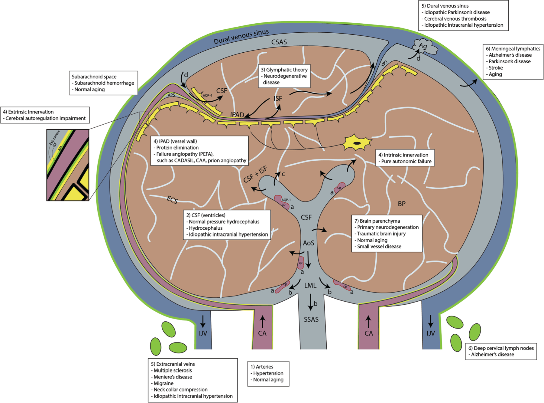 FIGURE 1: