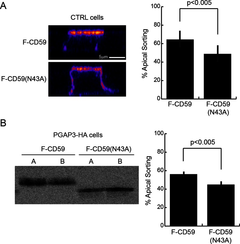 FIGURE 5: