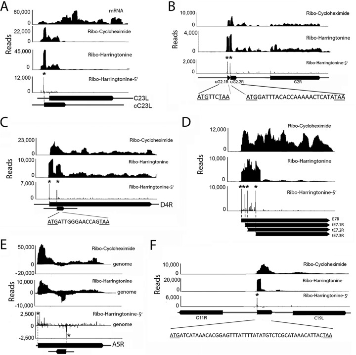 FIG 6