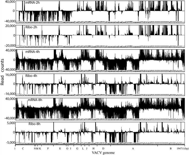 FIG 2