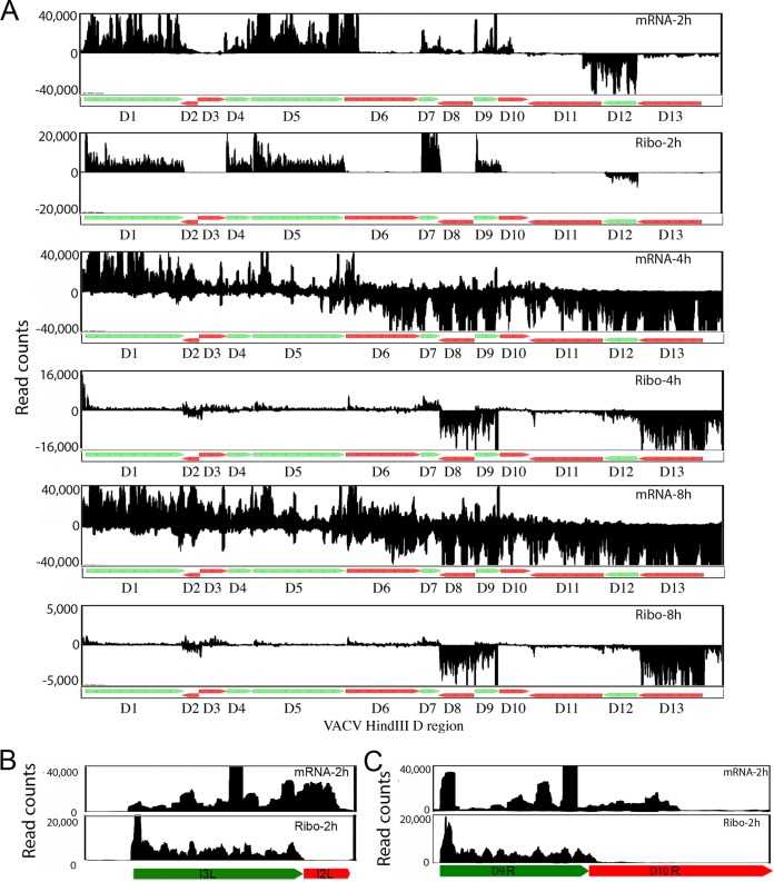 FIG 4