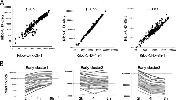 FIG 3