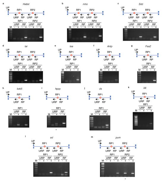 Extended Data Figure 3