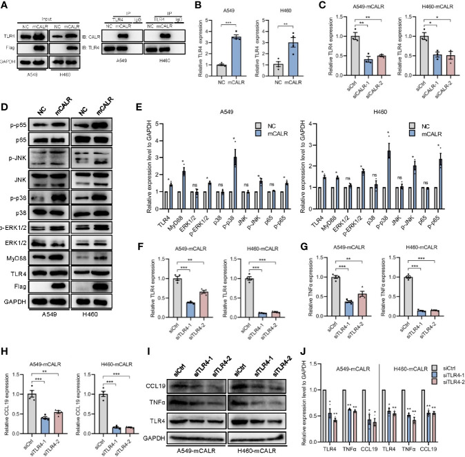 Figure 4