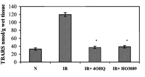 Figure 4)