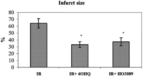 Figure 3)