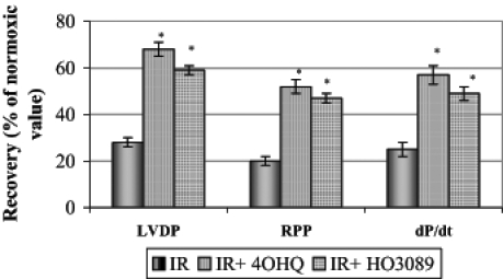 Figure 2)