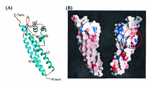 FIG. 4.