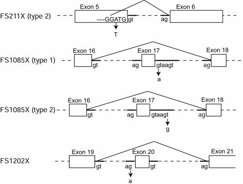 Figure  2