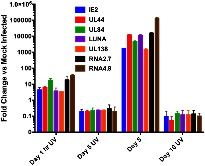 Figure 5