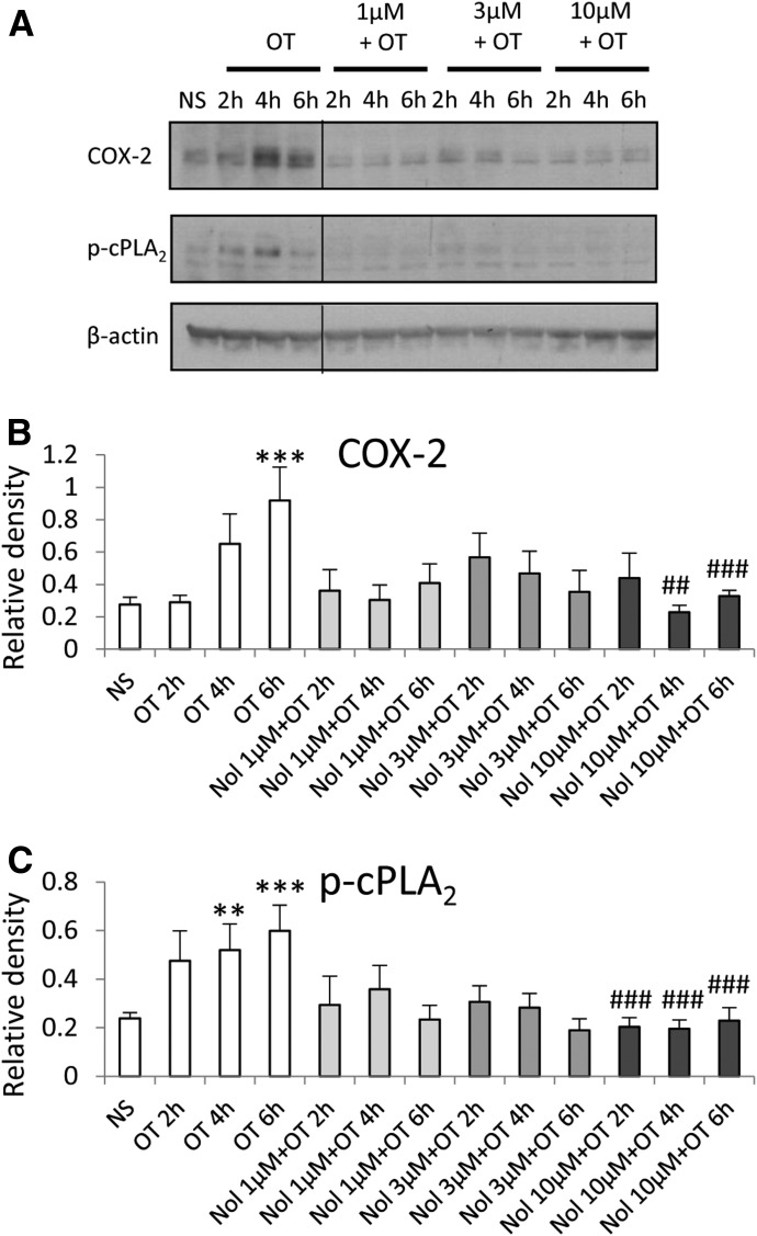 Fig. 11.