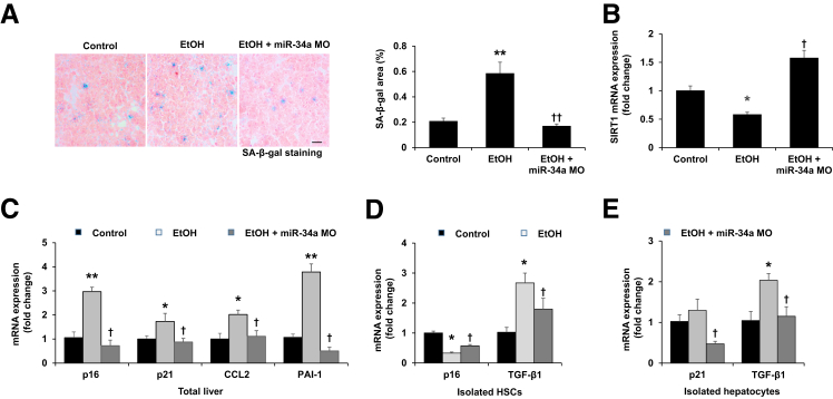 Figure 6