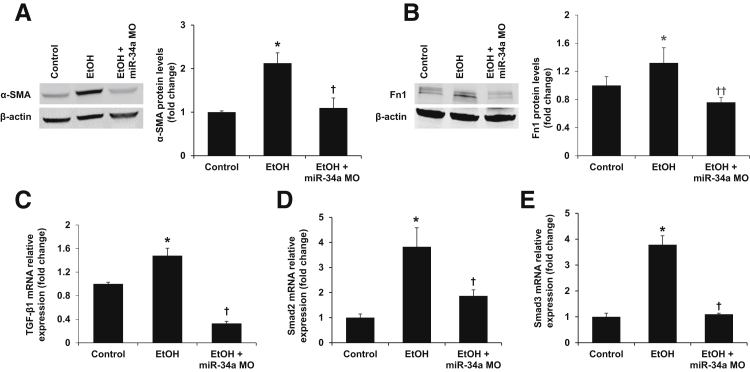 Figure 5