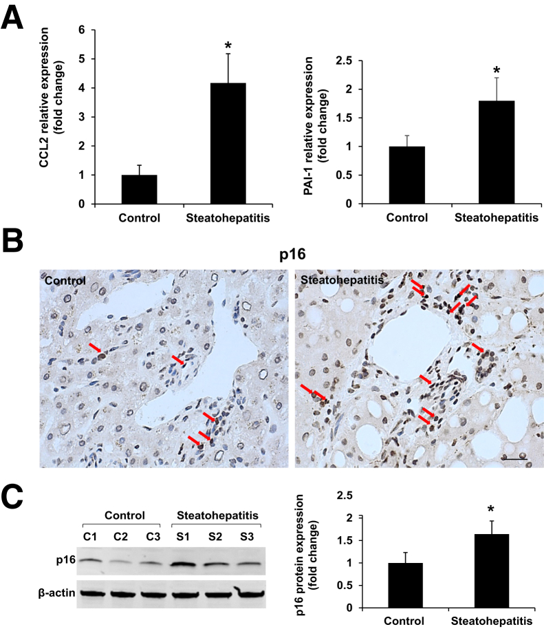 Figure 2