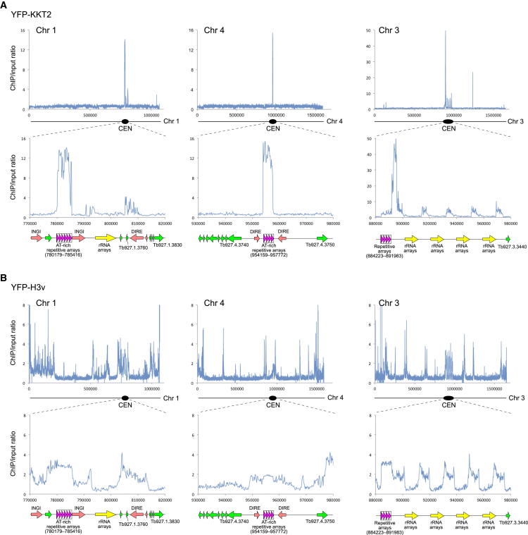 Figure 2