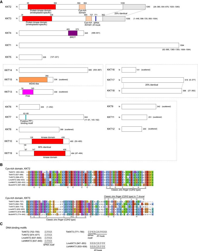 Figure 5