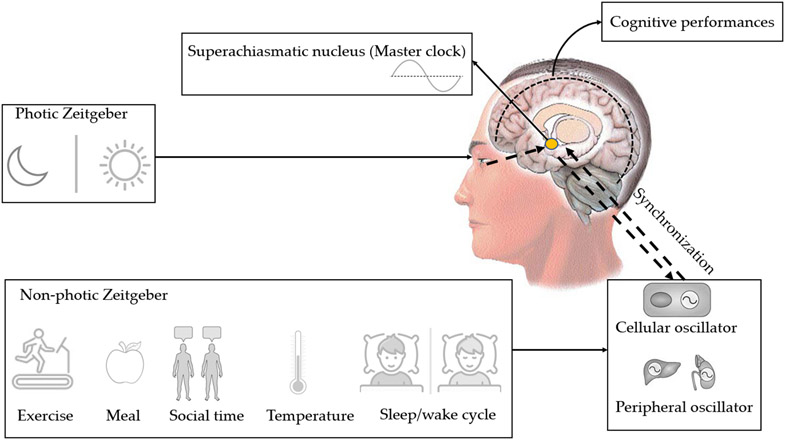 Figure 2.