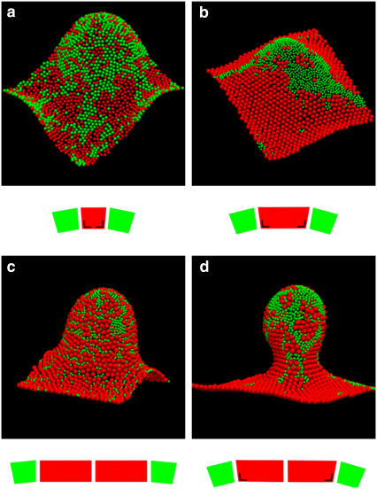 FIGURE 6