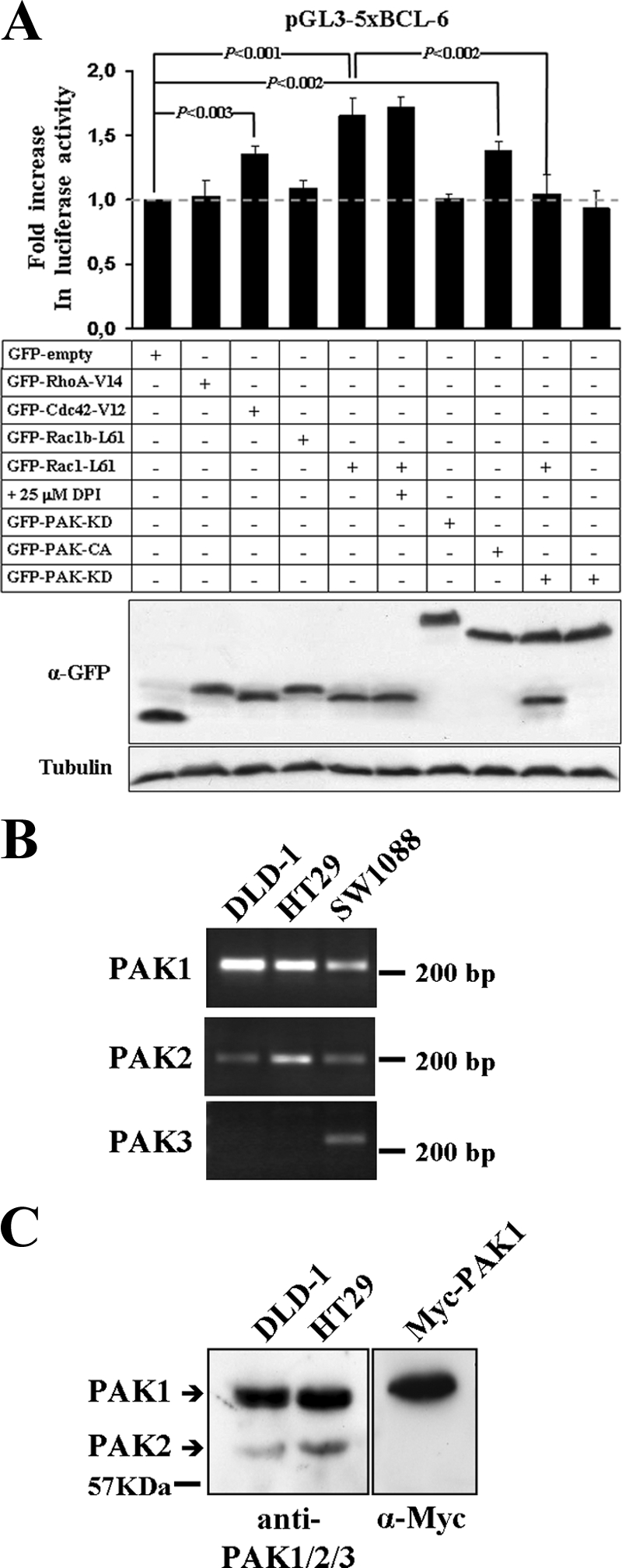 FIG. 6.