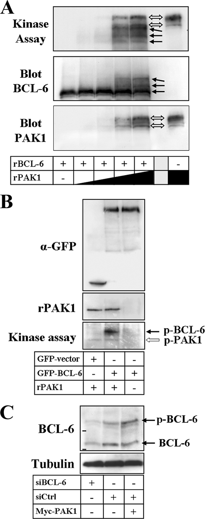 FIG. 9.