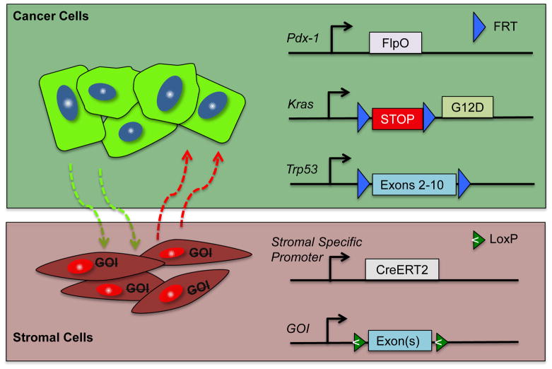 Figure 5