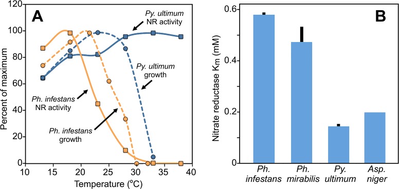 Fig 11