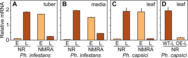 Fig 10