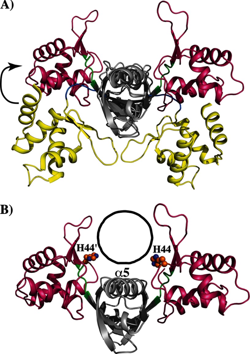 FIGURE 7.