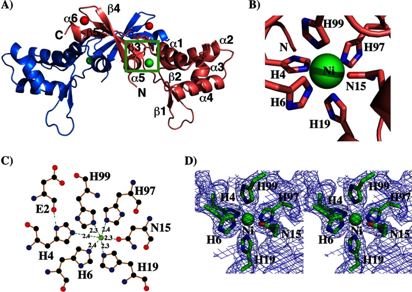 FIGURE 5.