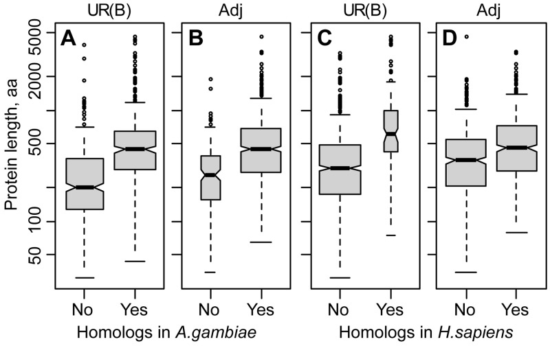 Fig. 2.—