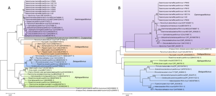 FIG 2 