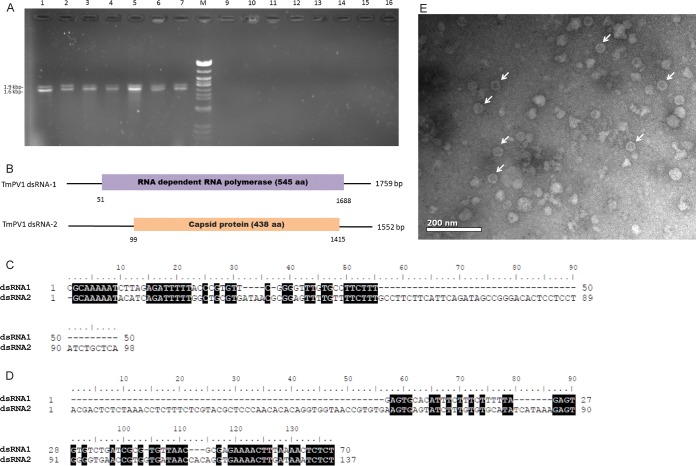 FIG 1 