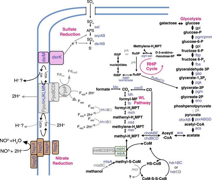 Fig. 2