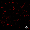 Figure 4—figure supplement 3.