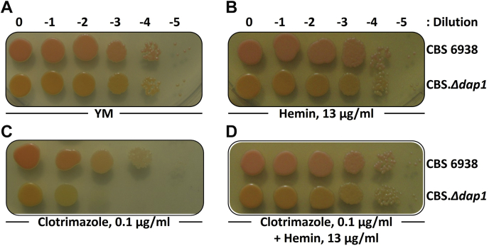 Fig. 4