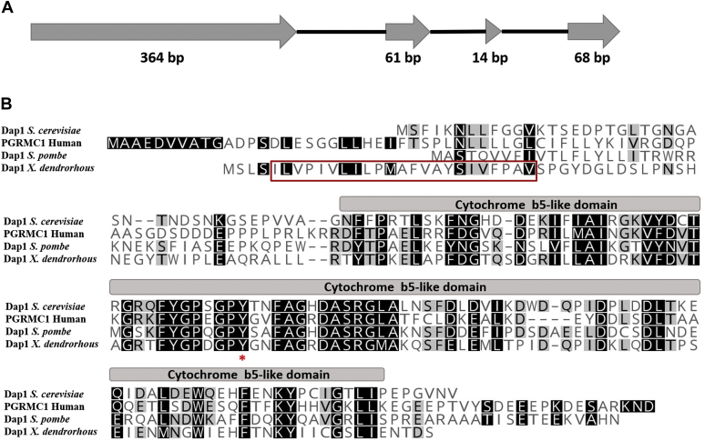 Fig. 2