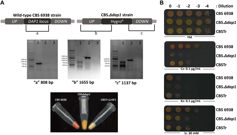 Fig. 3