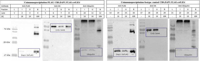 Fig. 7