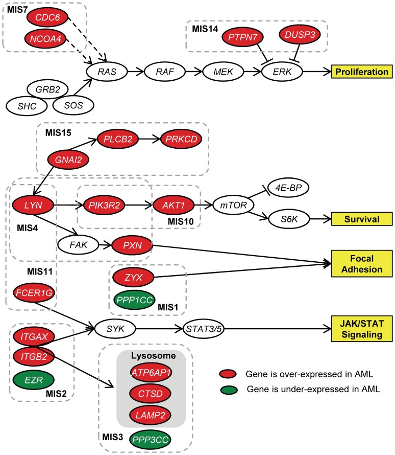 Figure 6