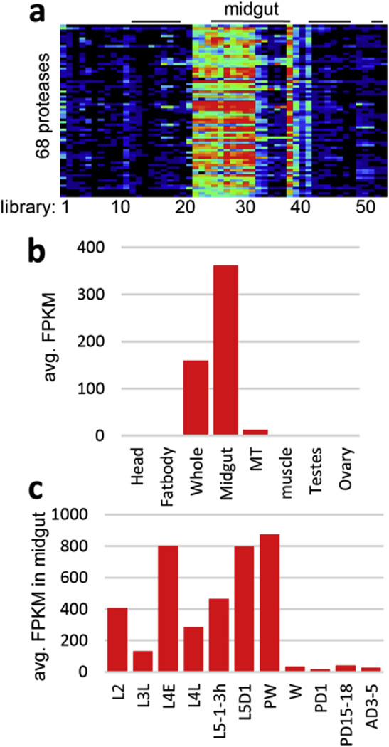 Fig. 4