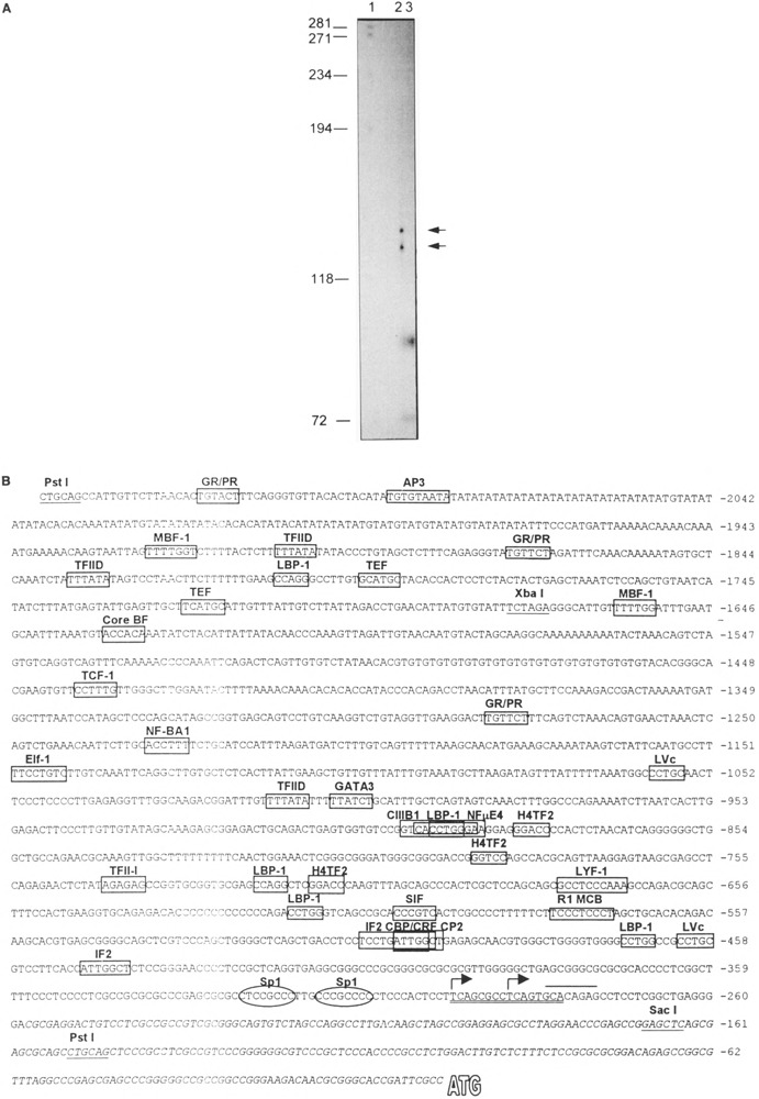 FIG. 6