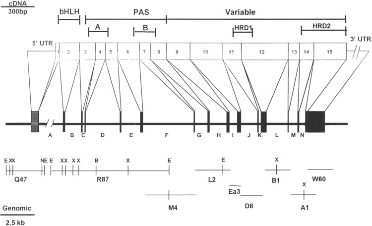 FIG. 5