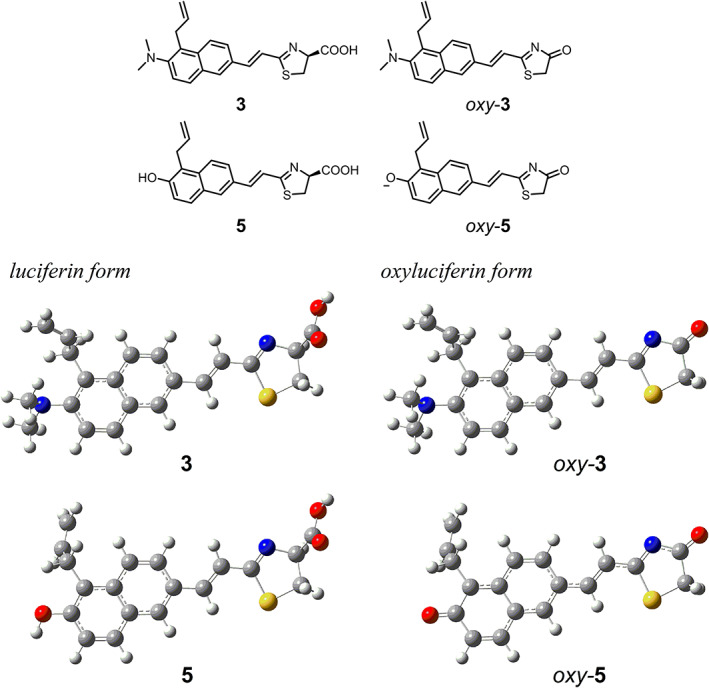 FIGURE 4