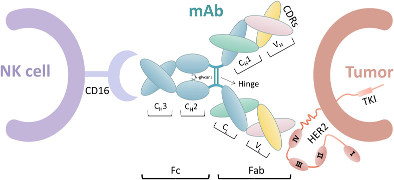 Figure 2