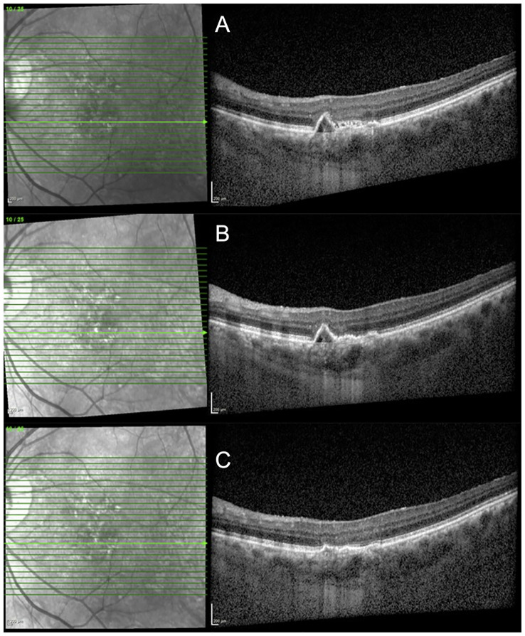 Figure 3