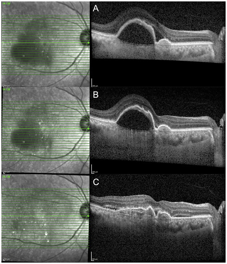 Figure 2